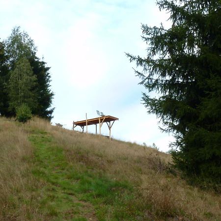 Ein Platz Fuer Ruhe Und Naturgenuss Sebnitz Zewnętrze zdjęcie