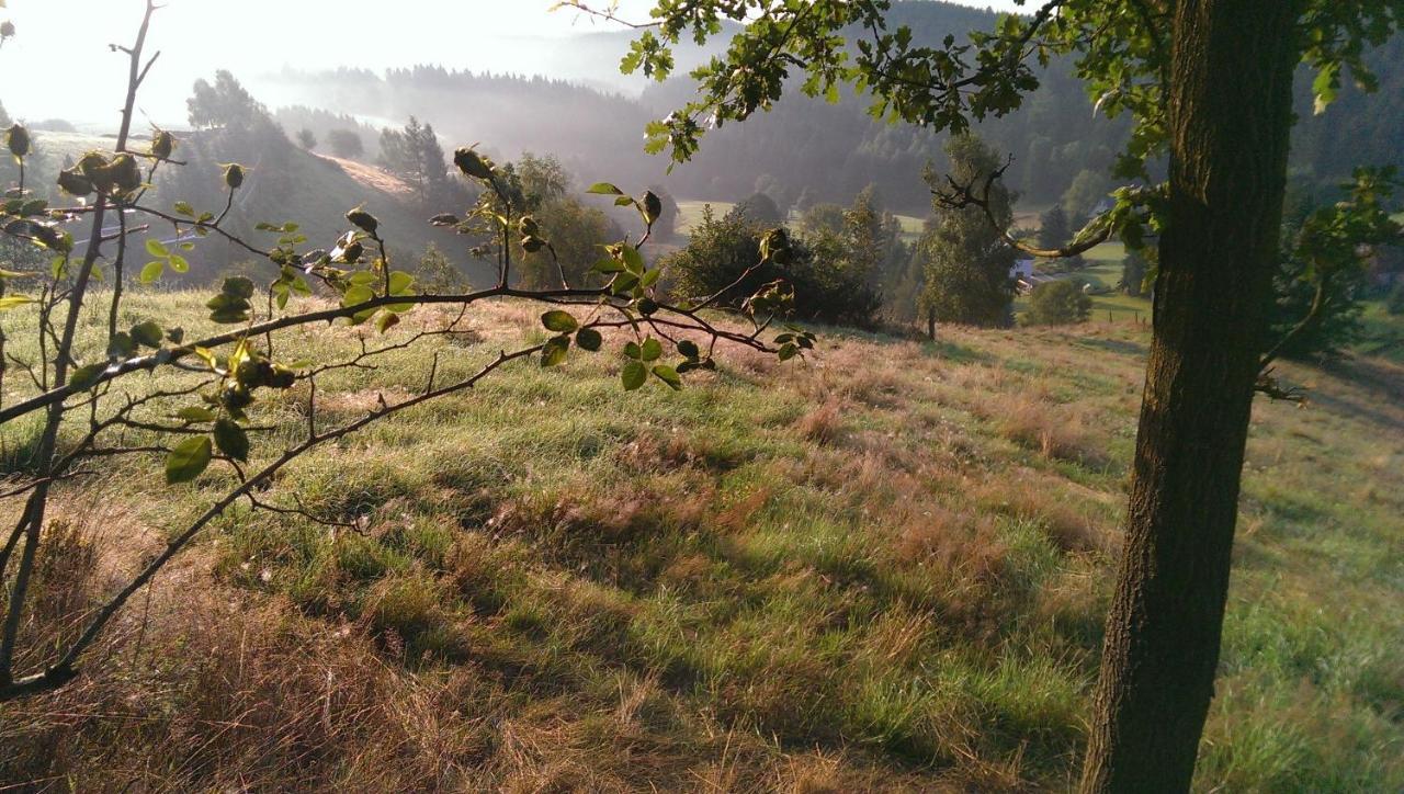 Ein Platz Fuer Ruhe Und Naturgenuss Sebnitz Zewnętrze zdjęcie