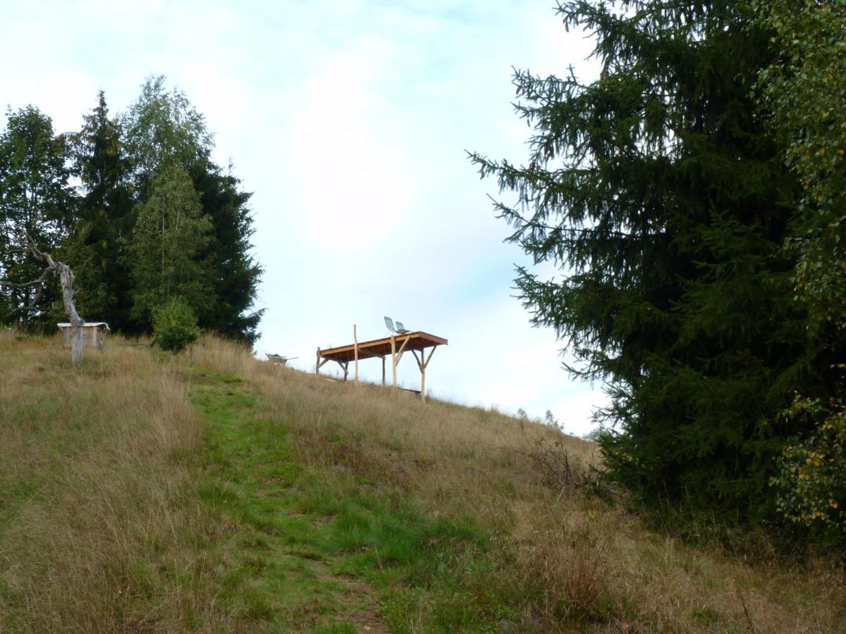 Ein Platz Fuer Ruhe Und Naturgenuss Sebnitz Zewnętrze zdjęcie