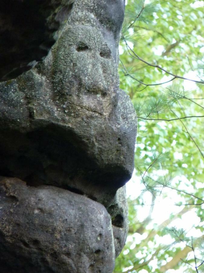 Ein Platz Fuer Ruhe Und Naturgenuss Sebnitz Zewnętrze zdjęcie