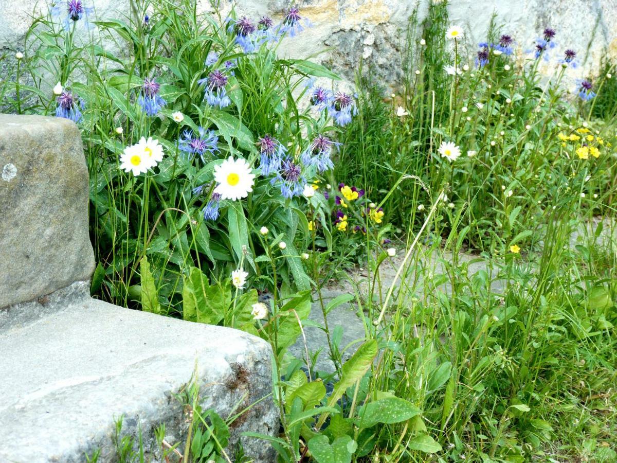 Ein Platz Fuer Ruhe Und Naturgenuss Sebnitz Zewnętrze zdjęcie
